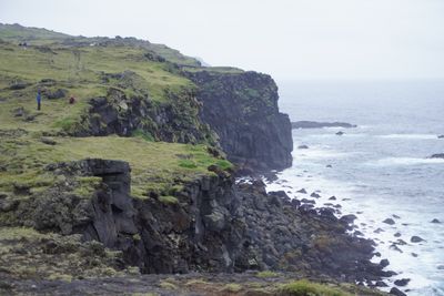 Icelandic horses in misty field