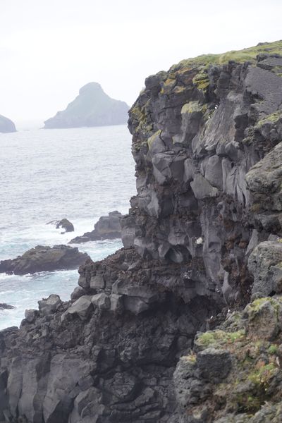 Coastal cliffs with seabirds